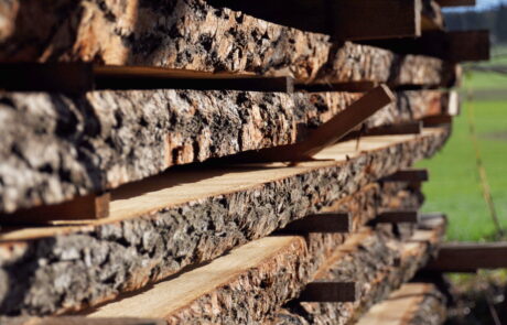 Holzstoss